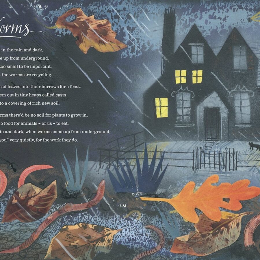 A First Book of Nature by Nicola Davies