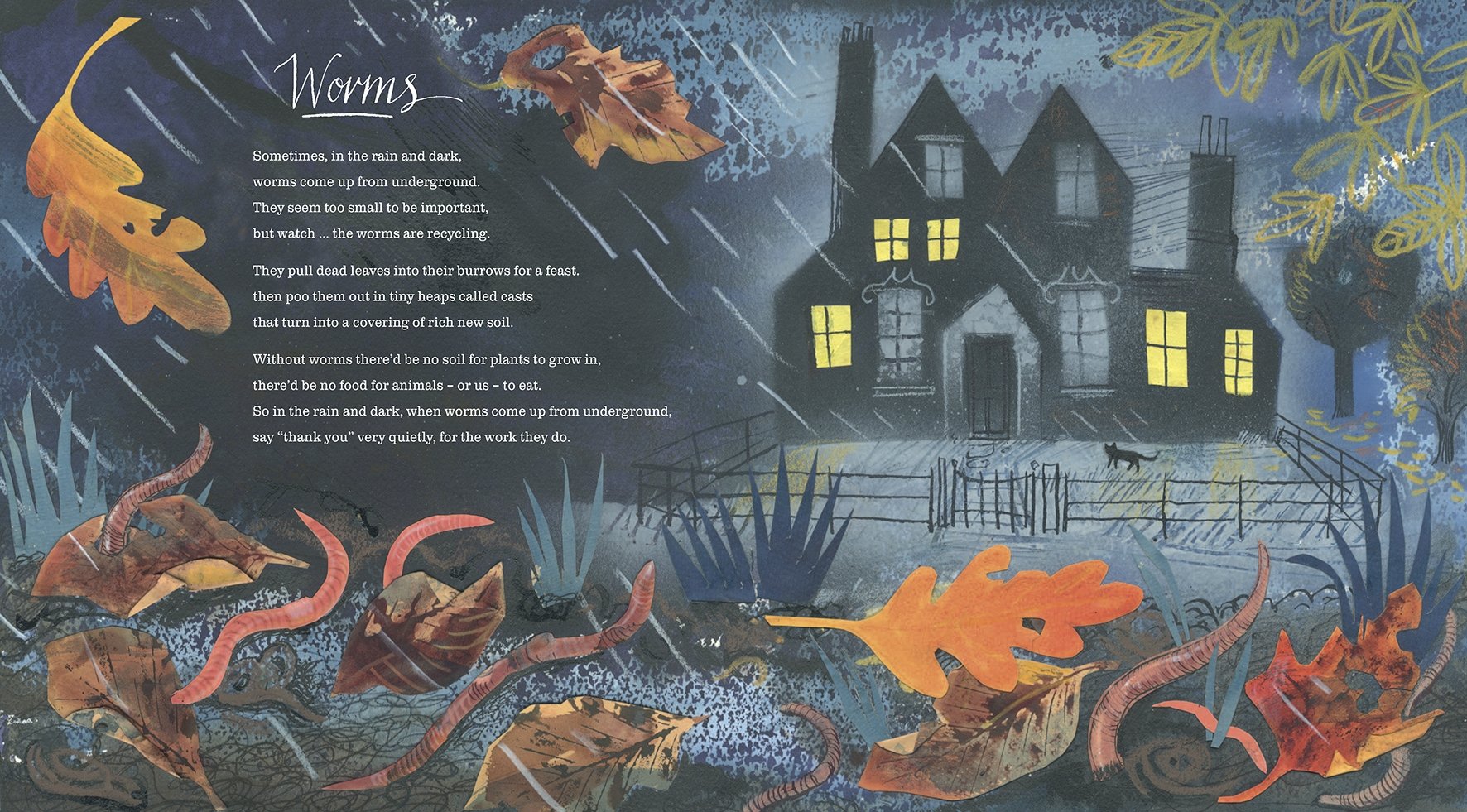 A First Book of Nature by Nicola Davies - Image 4