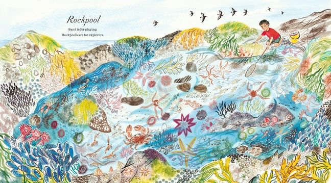 A First Book of the Sea by Nicola Davies