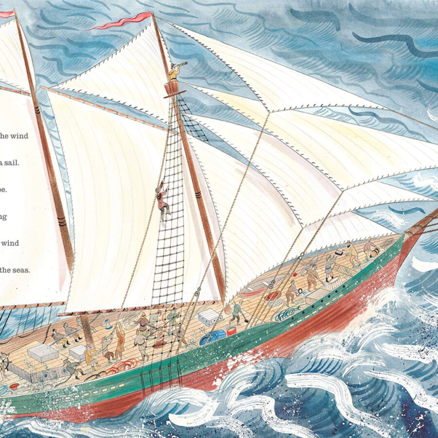 A First Book of the Sea by Nicola Davies