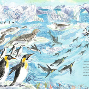 A First Book of the Sea by Nicola Davies - Image 2