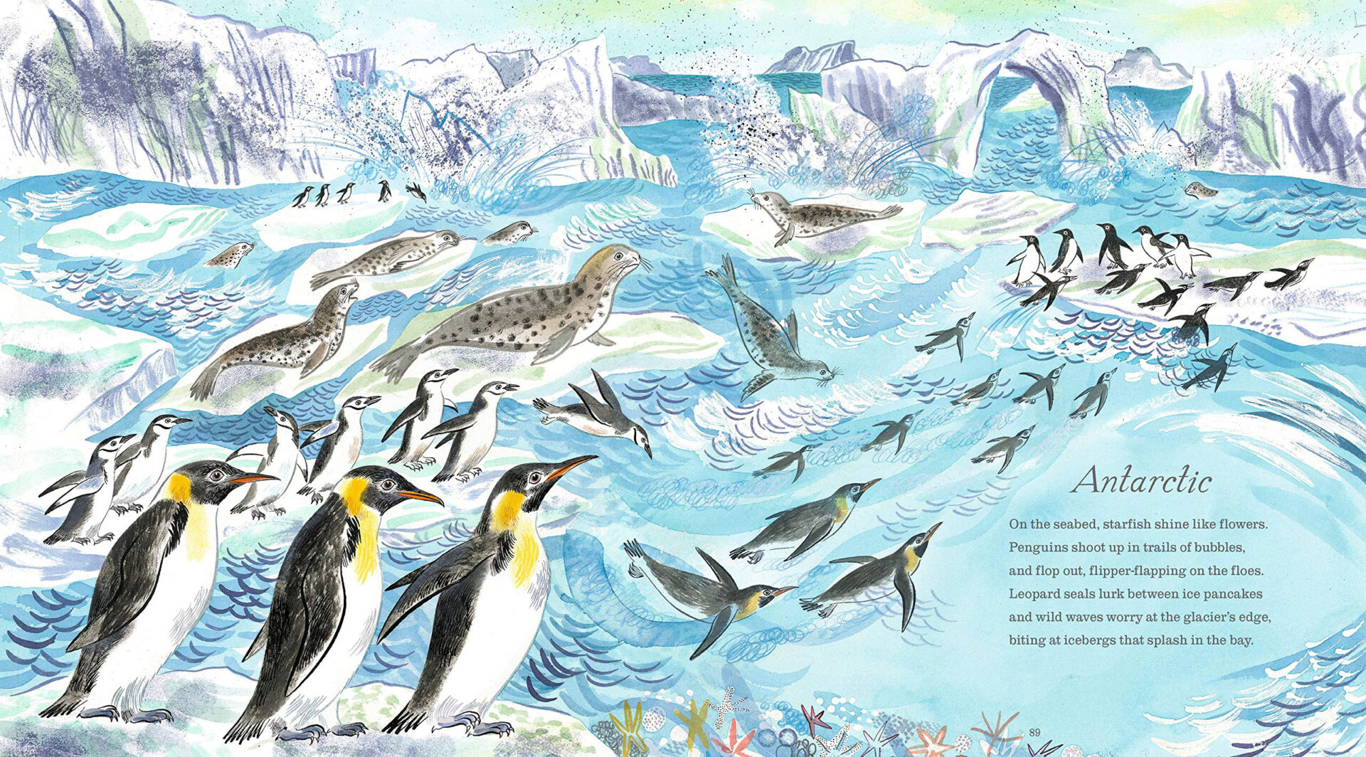 A First Book of the Sea by Nicola Davies - Image 2