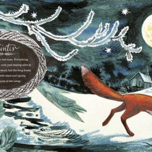 A First Book of Nature by Nicola Davies - Image 3