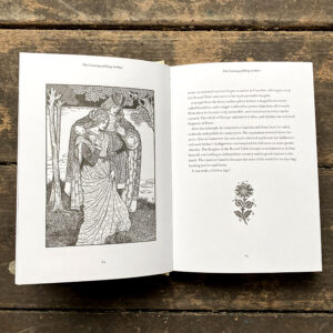 Arthurian Legends by Rosalind Kerven - Image 3