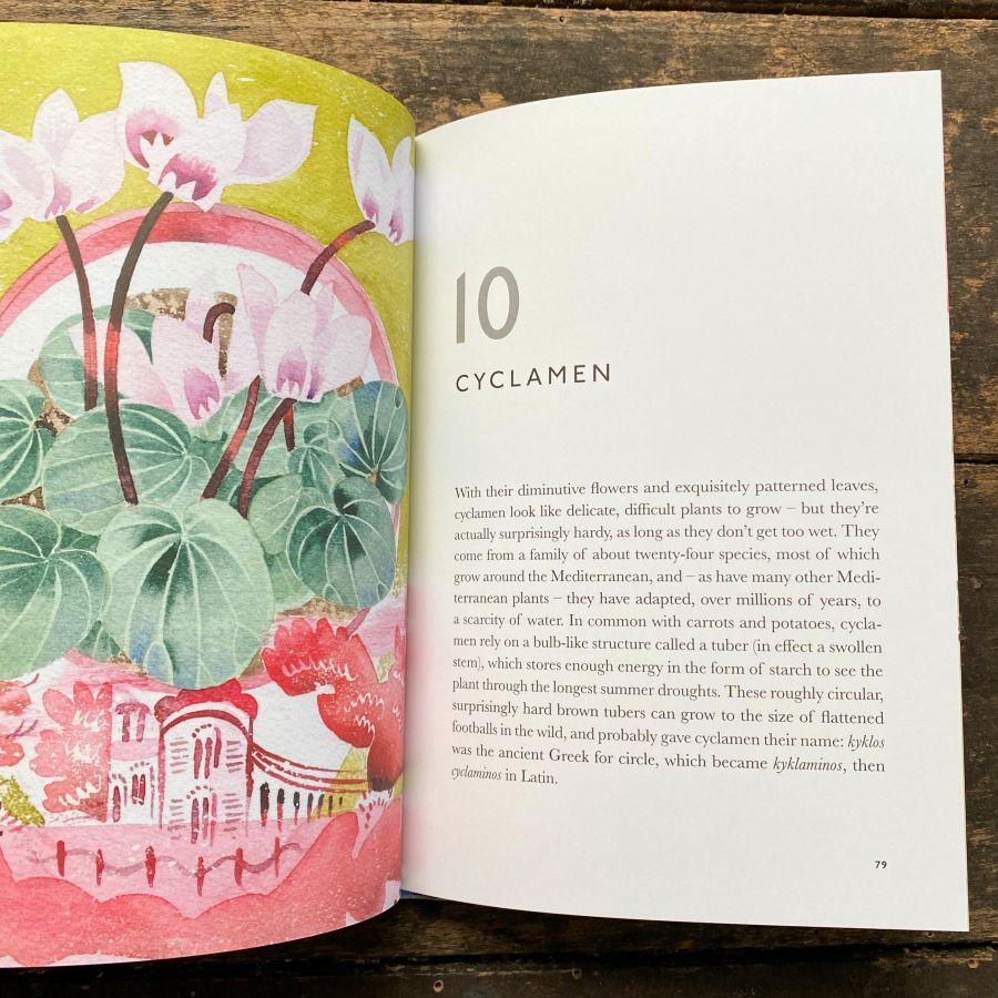The Book of Garden Flowers by Christopher Stocks & Angie Lewin