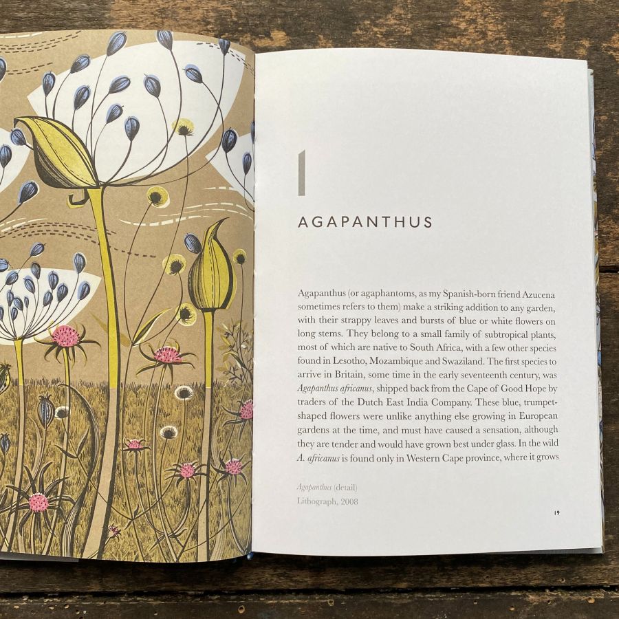 The Book of Garden Flowers by Christopher Stocks & Angie Lewin