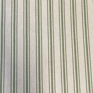 Extra Wide Hendrick Stripe- Spring Green - Image 2