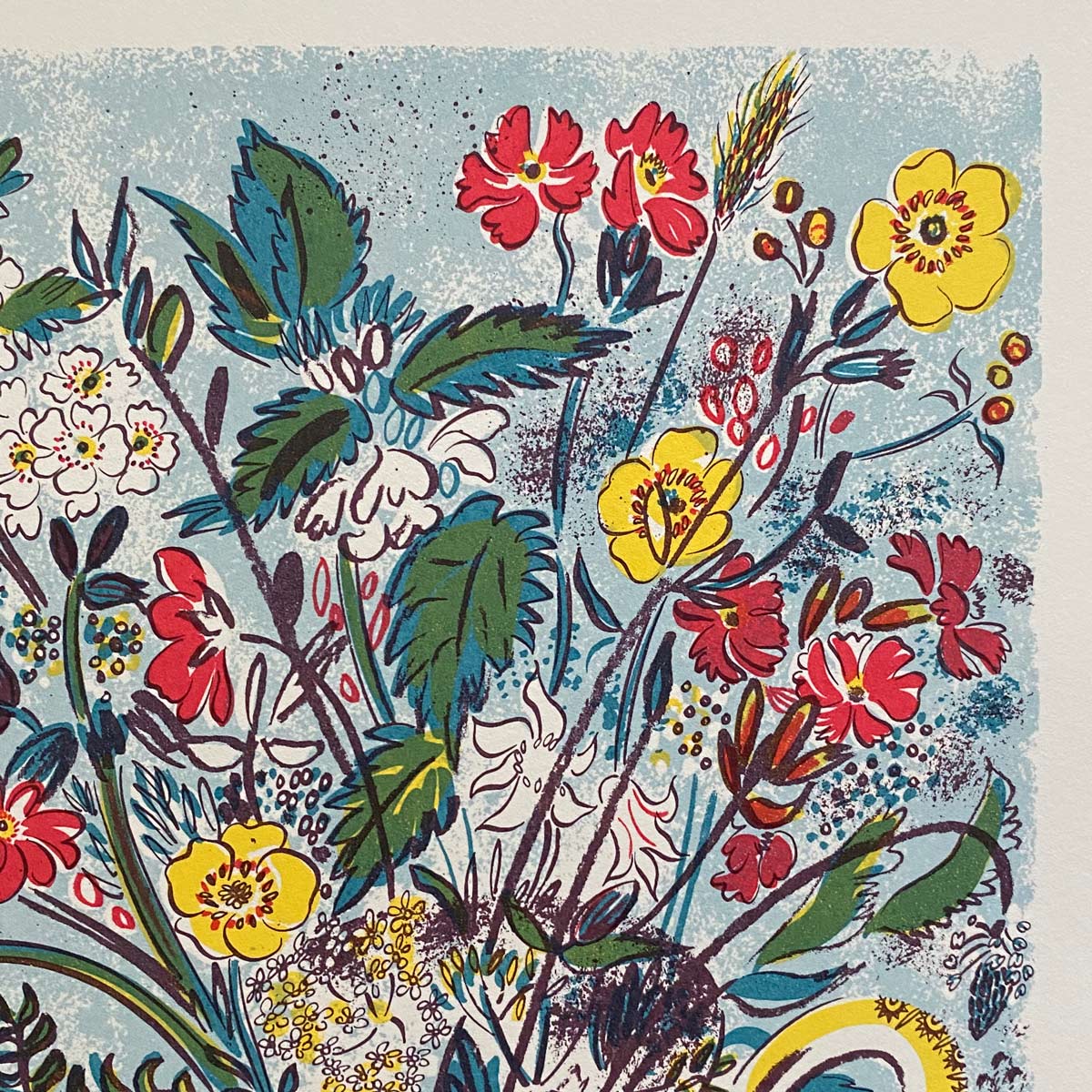 Fox and Grapes by Emily Sutton, Framed - Image 4