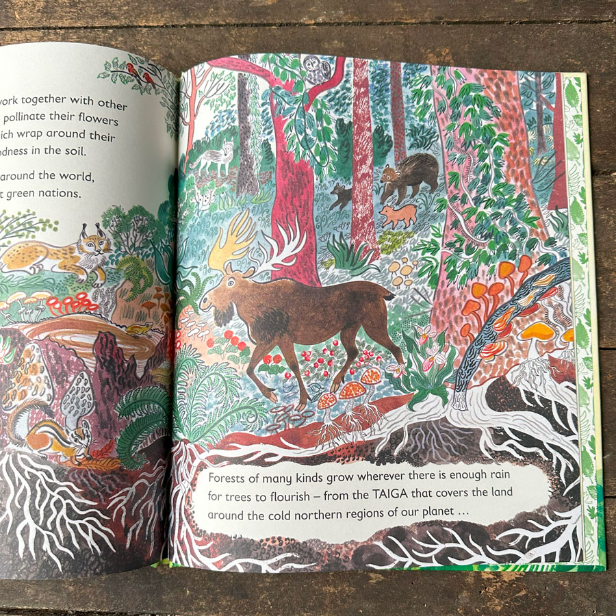 Green, The Story of Plant Life on Our Planet by Nicola Davies