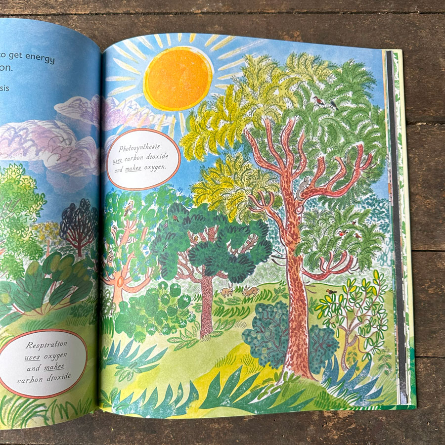 Green, The Story of Plant Life on Our Planet by Nicola Davies