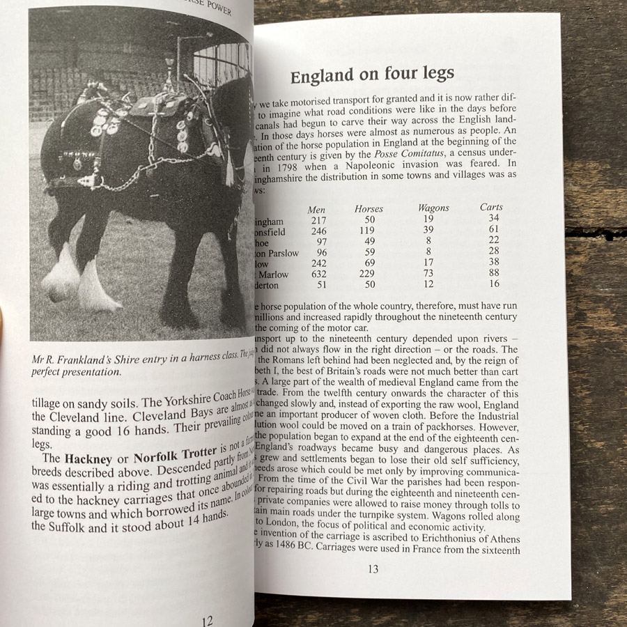 Discovering Horse Brasses by John Vince