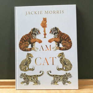 I Am Cat by Jackie Morris - Image 1