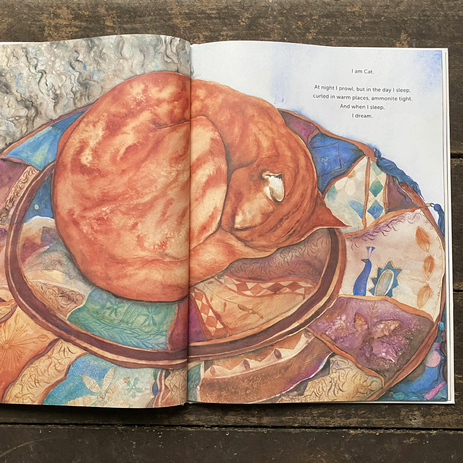 I Am Cat by Jackie Morris