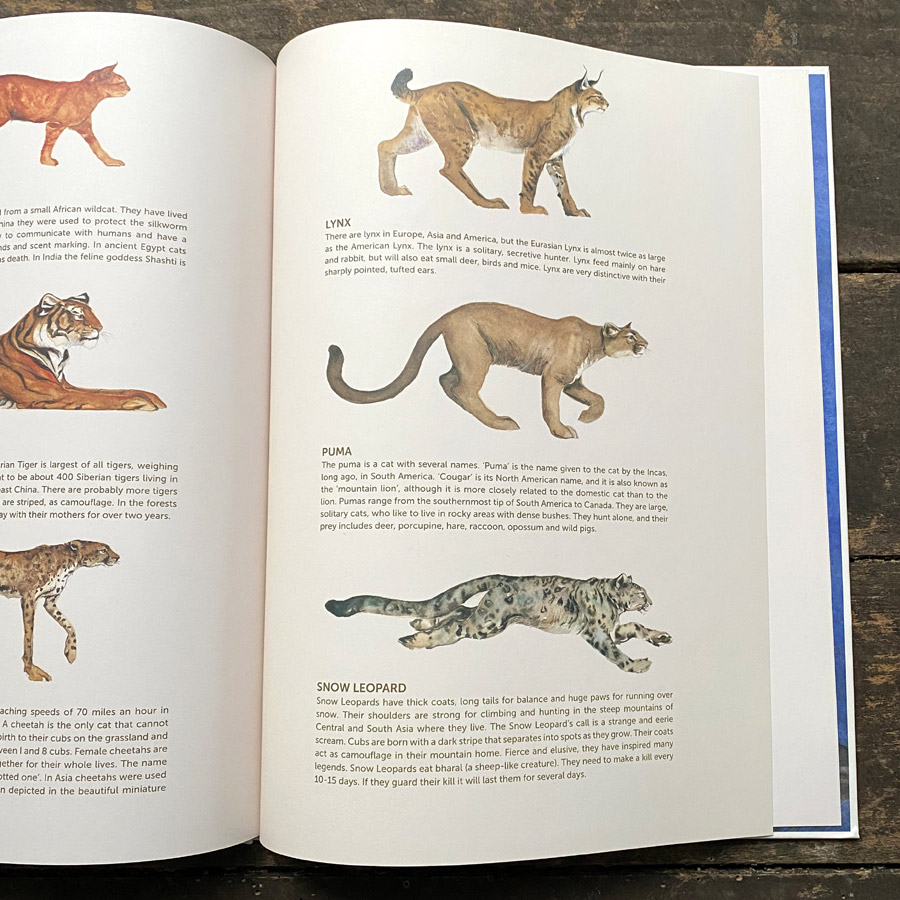 I Am Cat by Jackie Morris