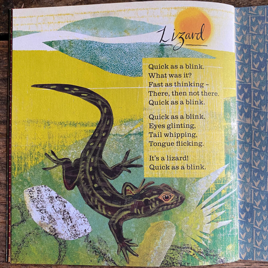 Animal Poems - Nicola Davies & Mark Hearld