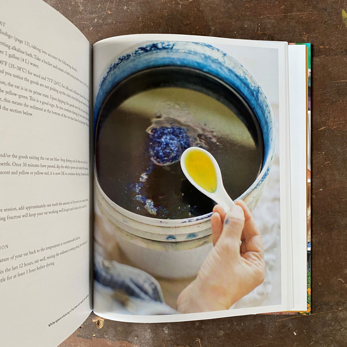 Journeys In Natural Dyeing by Kristine Vejar and Adrienne Rodriguez - Image 2