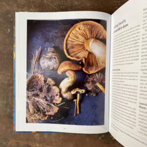 Journeys In Natural Dyeing by Kristine Vejar and Adrienne Rodriguez - Image 3