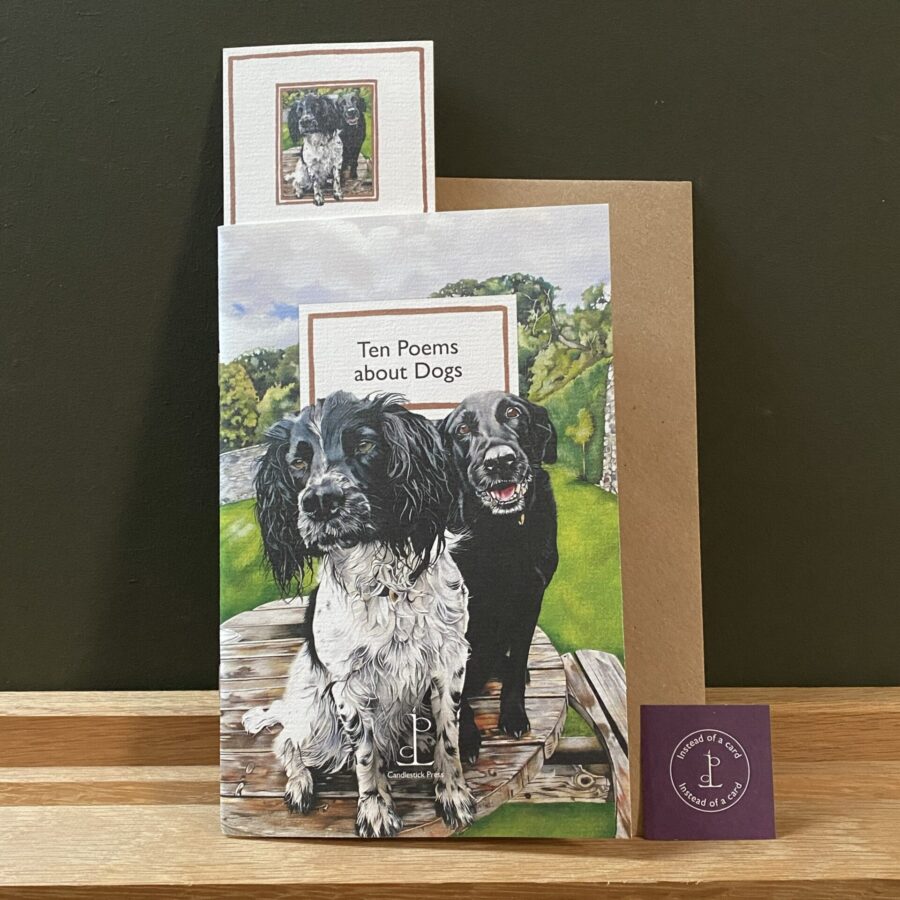 Poetry Pamphlet about Dogs from Tinsmiths Ledbury