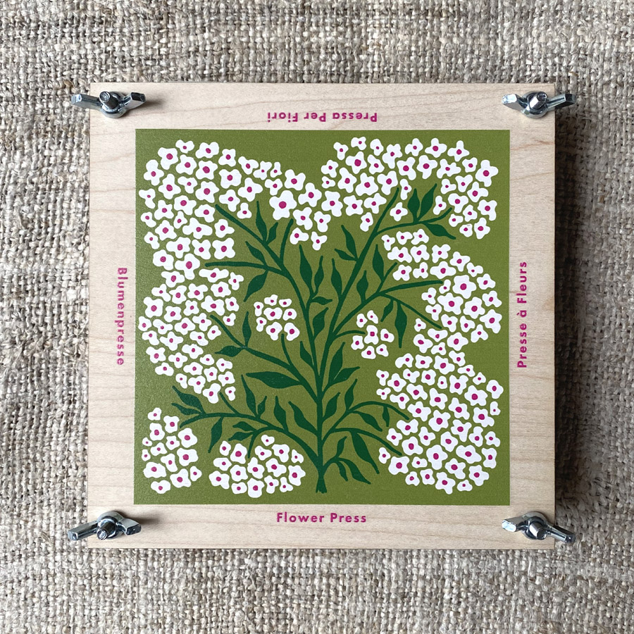 Flower Press - Forget Me Not