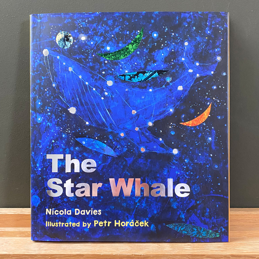 The Star Whale by Nicola Davies and Illustrated by Petr Horáček