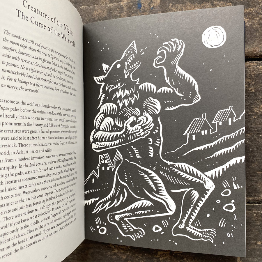 The Treasury of Folklore: Waterlands, Wooded Worlds and Star Skies by Dee Dee Chainey & Willow Winsham
