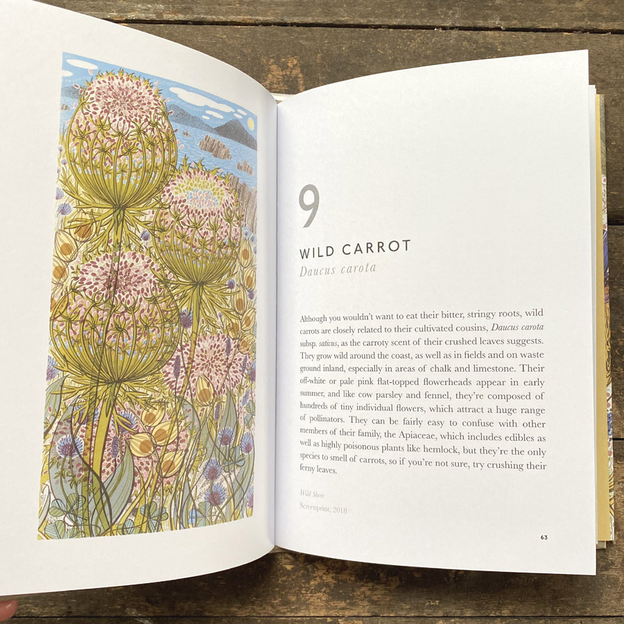The Book of Wildflowers by Christopher Stocks and Angie Lewin