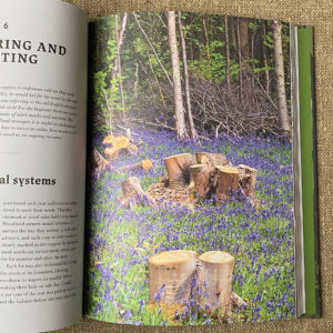 Traditional Woodland Crafts by Ray Tabor - Image 2