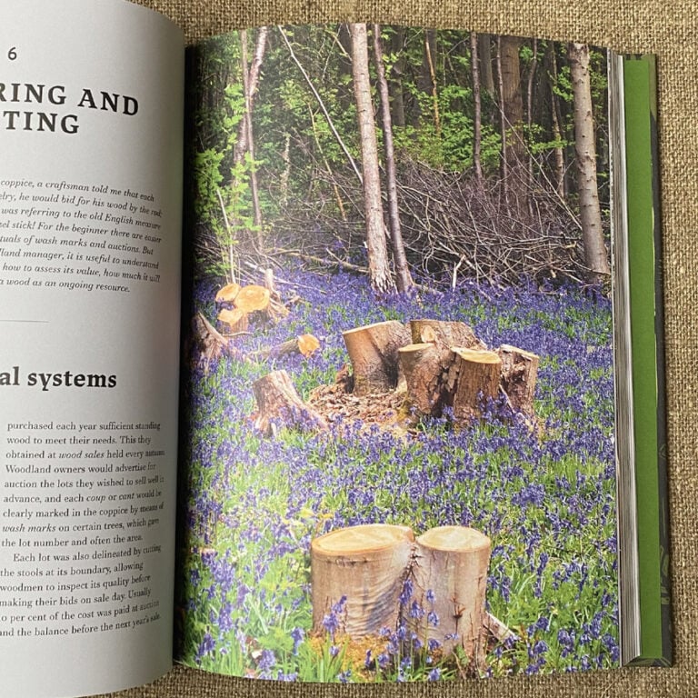 Traditional Woodland Crafts by Ray Tabor - Image 2