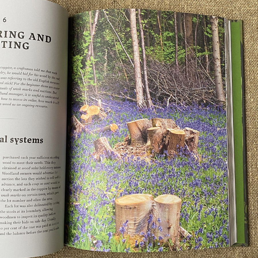 Traditional Woodland Crafts by Ray Tabor