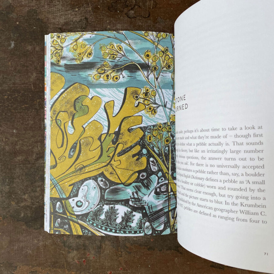 The Book of Pebbles by Christopher Stocks and Angie Lewin