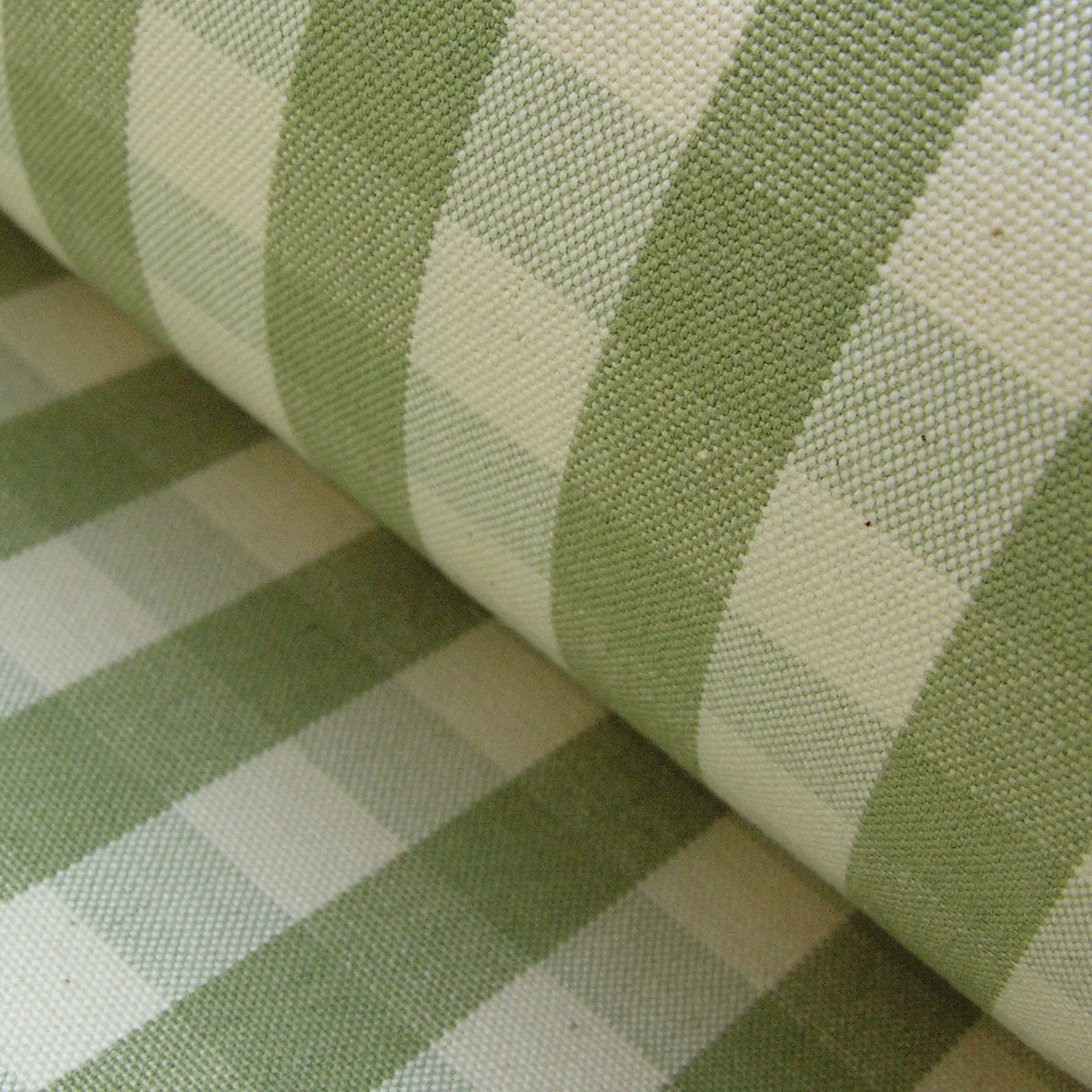 Check Large - Sage - Image 1