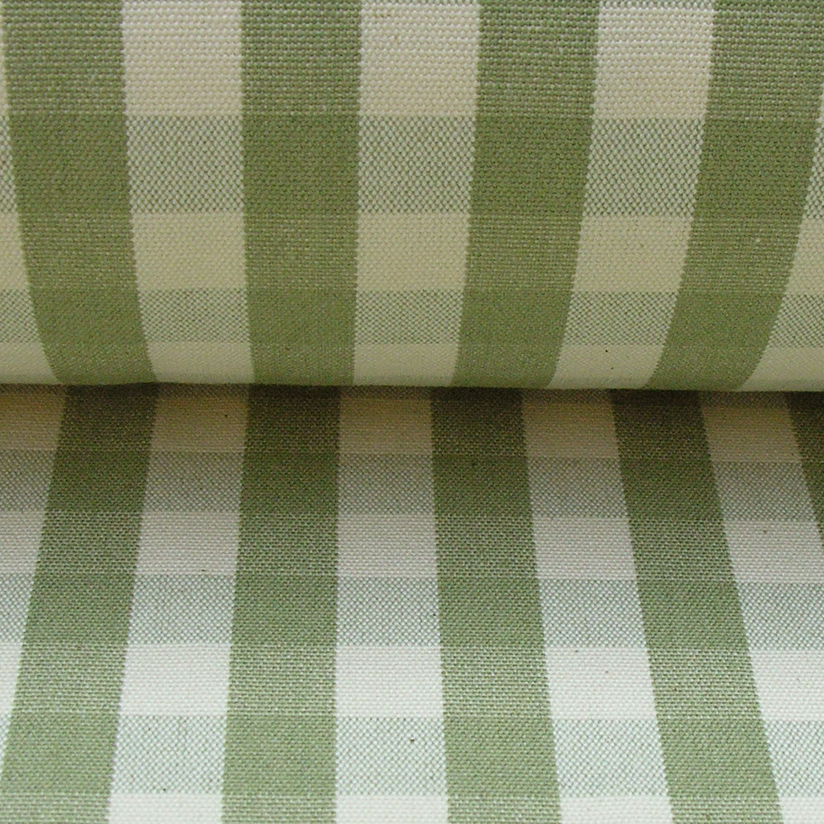 Check Large - Sage - Image 3