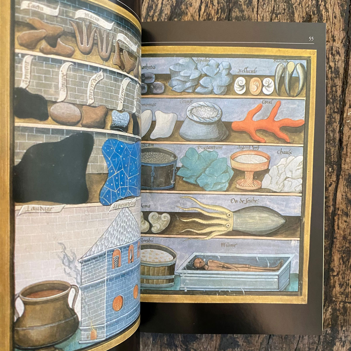 Colour: Making and Using Dyes and Pigments - Image 2