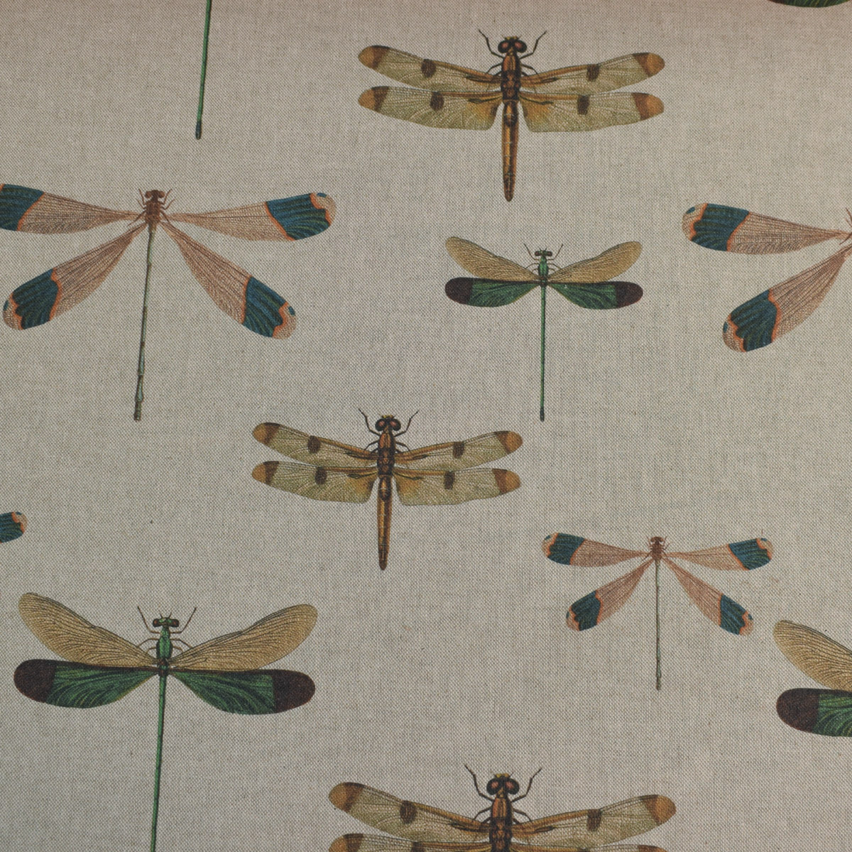 Dragonflies - Image 2