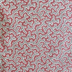 Dulcie Print - Coral - Image 2