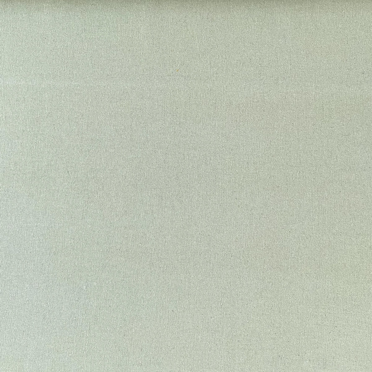 Extra Wide Berrow - Tea Green - Image 2