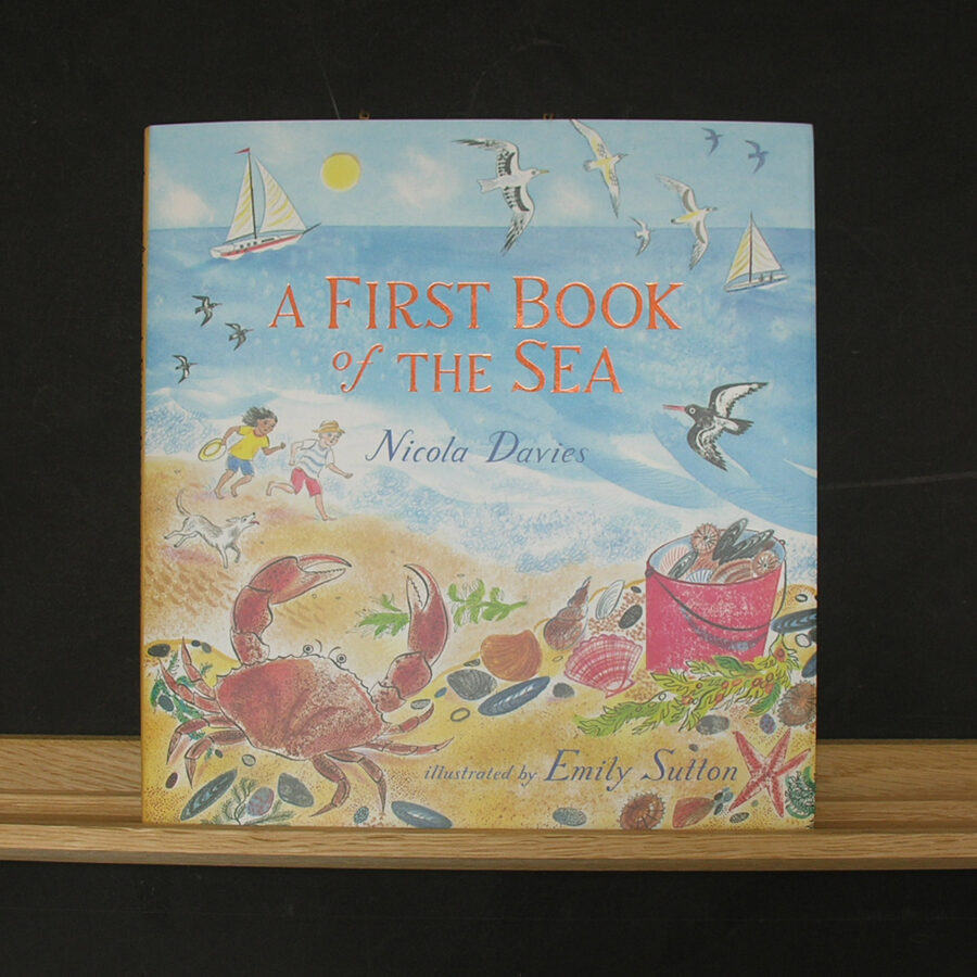 A First Book of the Sea by Nicola Davies