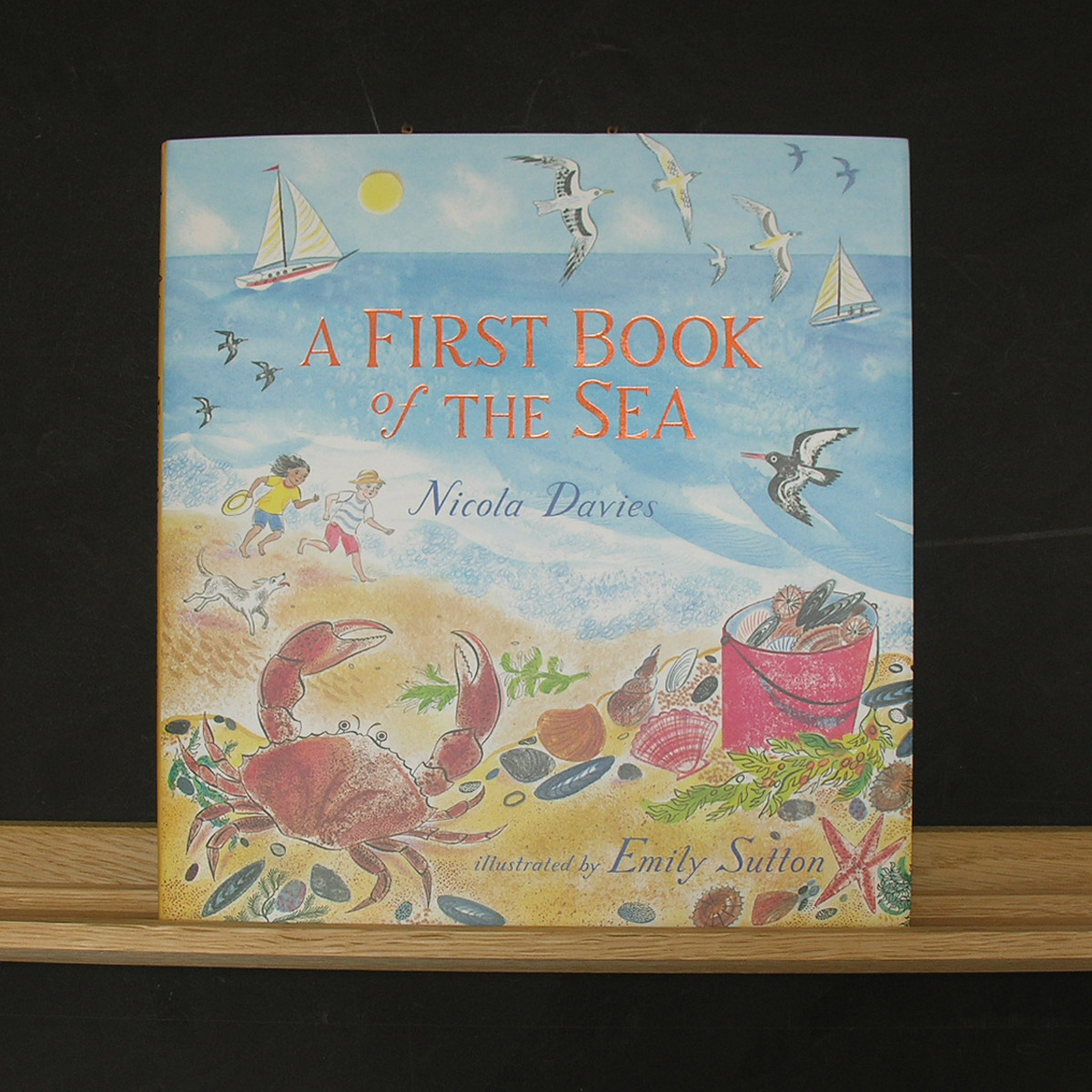 A First Book of the Sea by Nicola Davies - Image 1