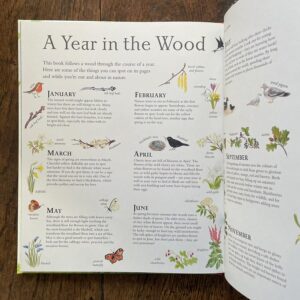 Mouse's Wood by Alice Melvin - Image 5