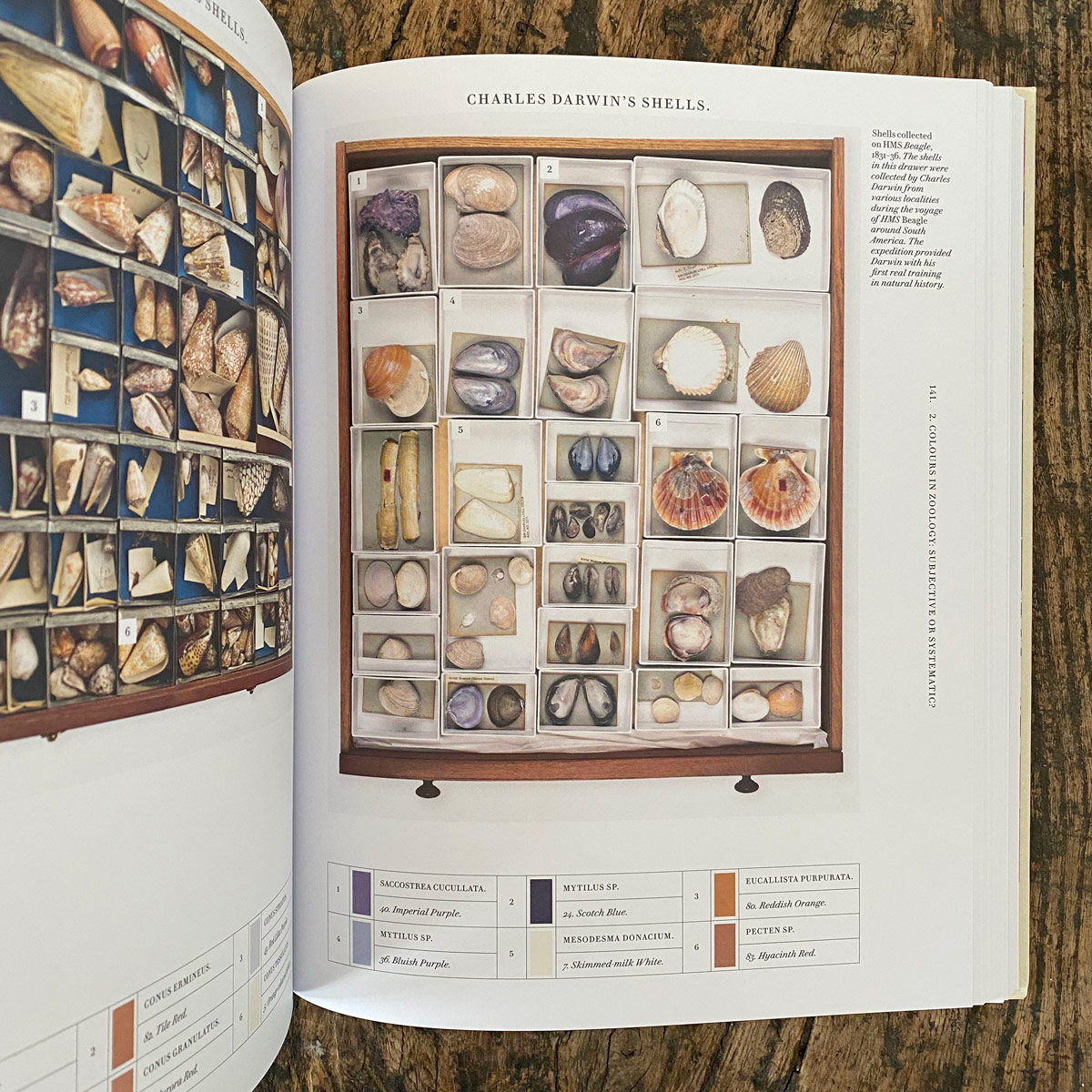 Nature's Palette: A Colour Reference System From the Natural World - Image 4