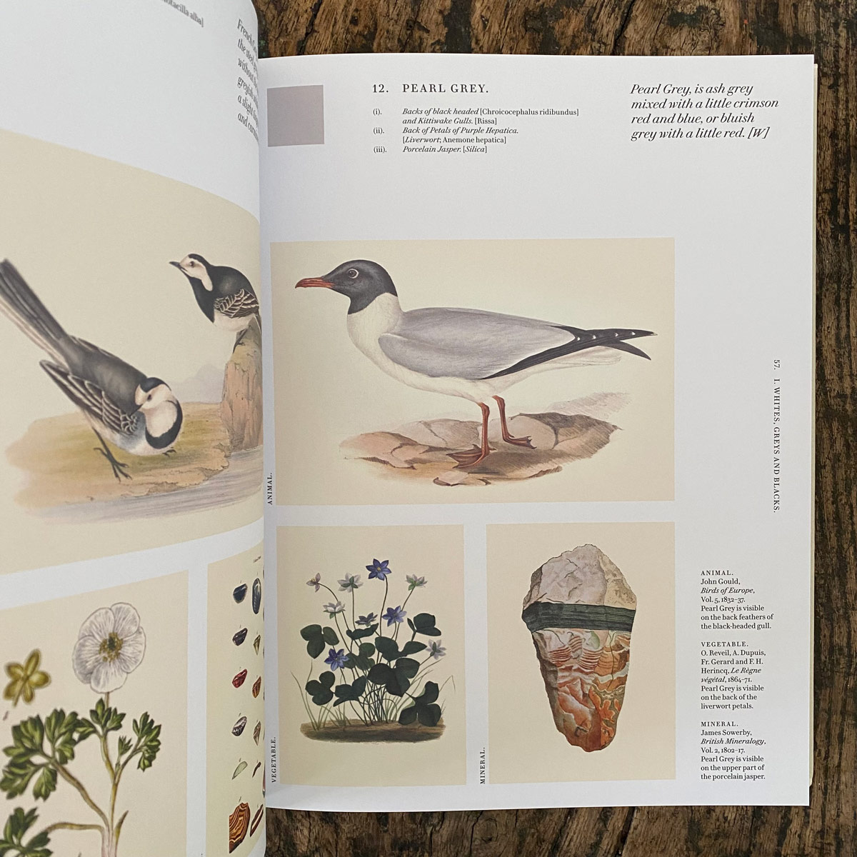 Nature's Palette: A Colour Reference System From the Natural World - Image 3