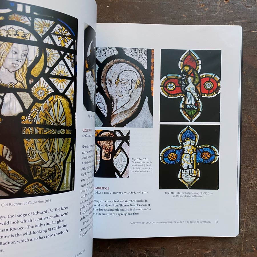 The Medieval Stained Glass of Herefordshire & Shropshire