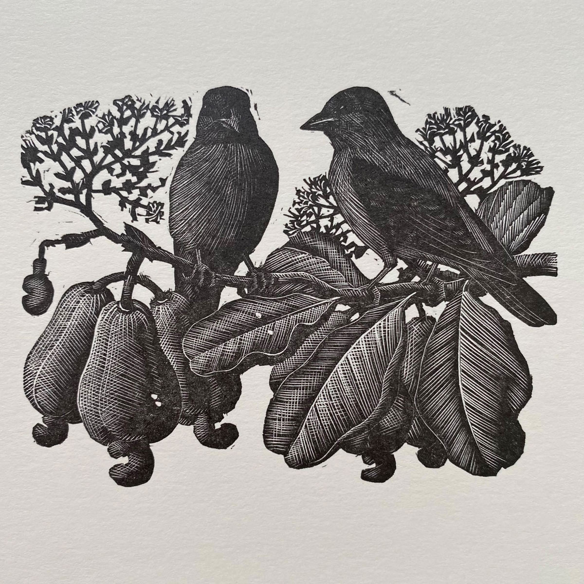 Tunnicliffe Notelet Set - Image 10