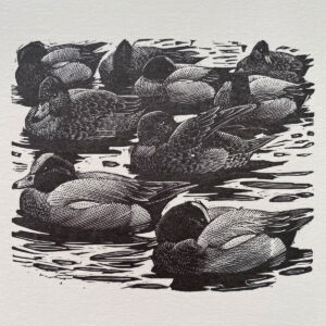 Tunnicliffe Notelet Set - Image 4