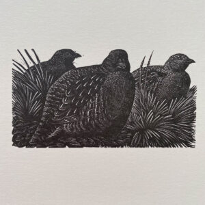 Tunnicliffe Notelet Set - Image 8