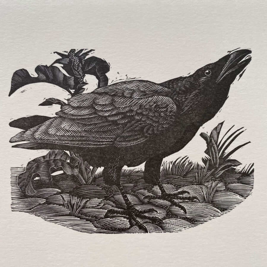 Tunnicliffe Notelet Set