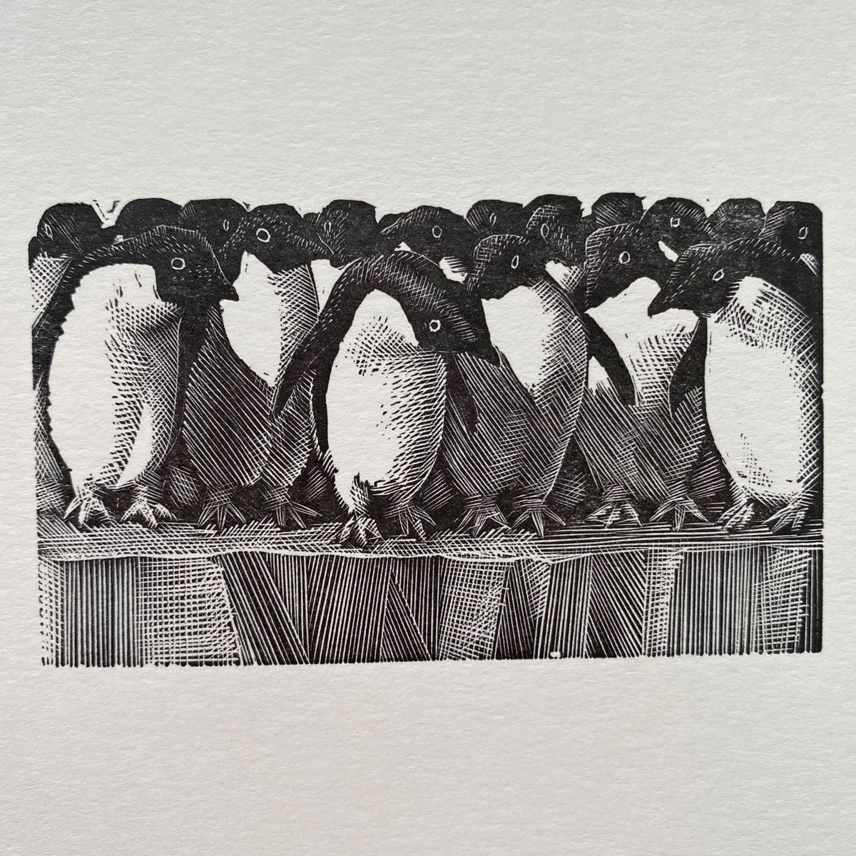 Tunnicliffe Notelet Set - Image 6