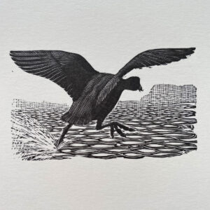 Tunnicliffe Notelet Set - Image 5