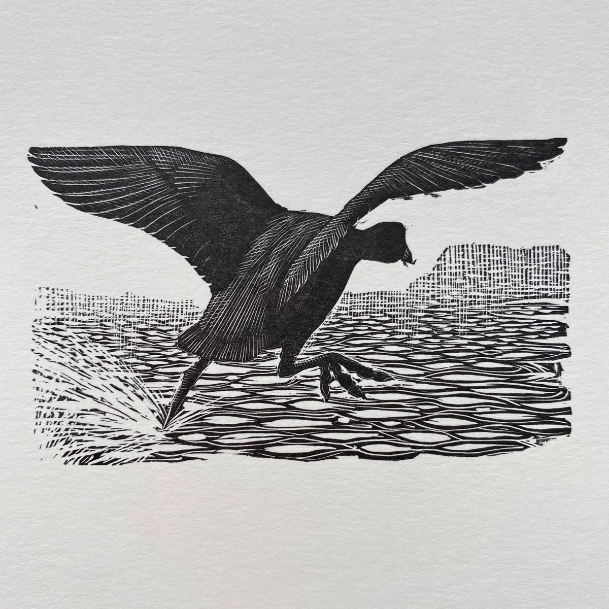 Tunnicliffe Notelet Set - Image 5