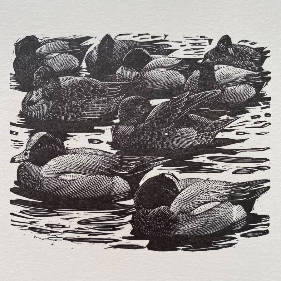 Tunnicliffe Notelet Set